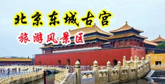 两美妇共用大屌中国北京-东城古宫旅游风景区
